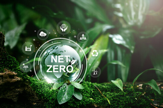 Reaching Net Zero Demands an Innovative Strategy for Distributed Energy Resources