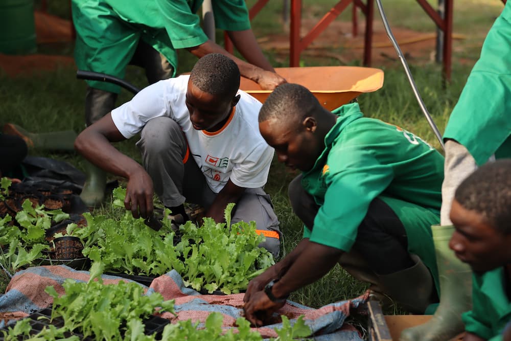 Ivory Coast : NSIA Bank CI supports the “Agro-Bachelor” training initiative