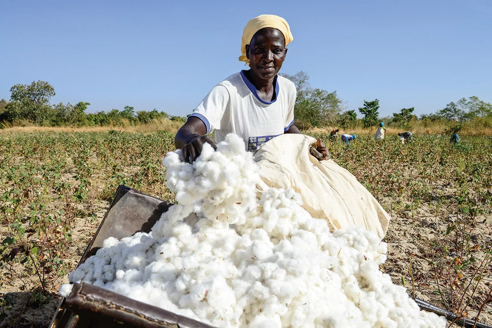 Africa : Burkina Faso Aims for Nearly 600,000 Tons of Cotton Production in 2024/2025