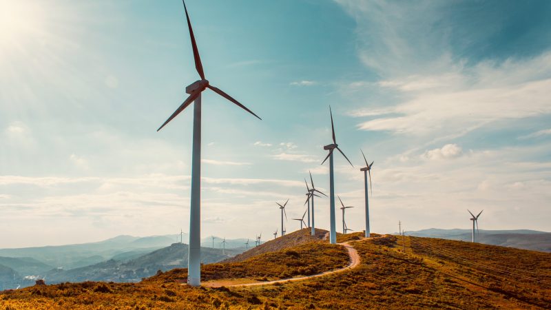 Wind Power Generation in the US Sees First Decline in Decades
