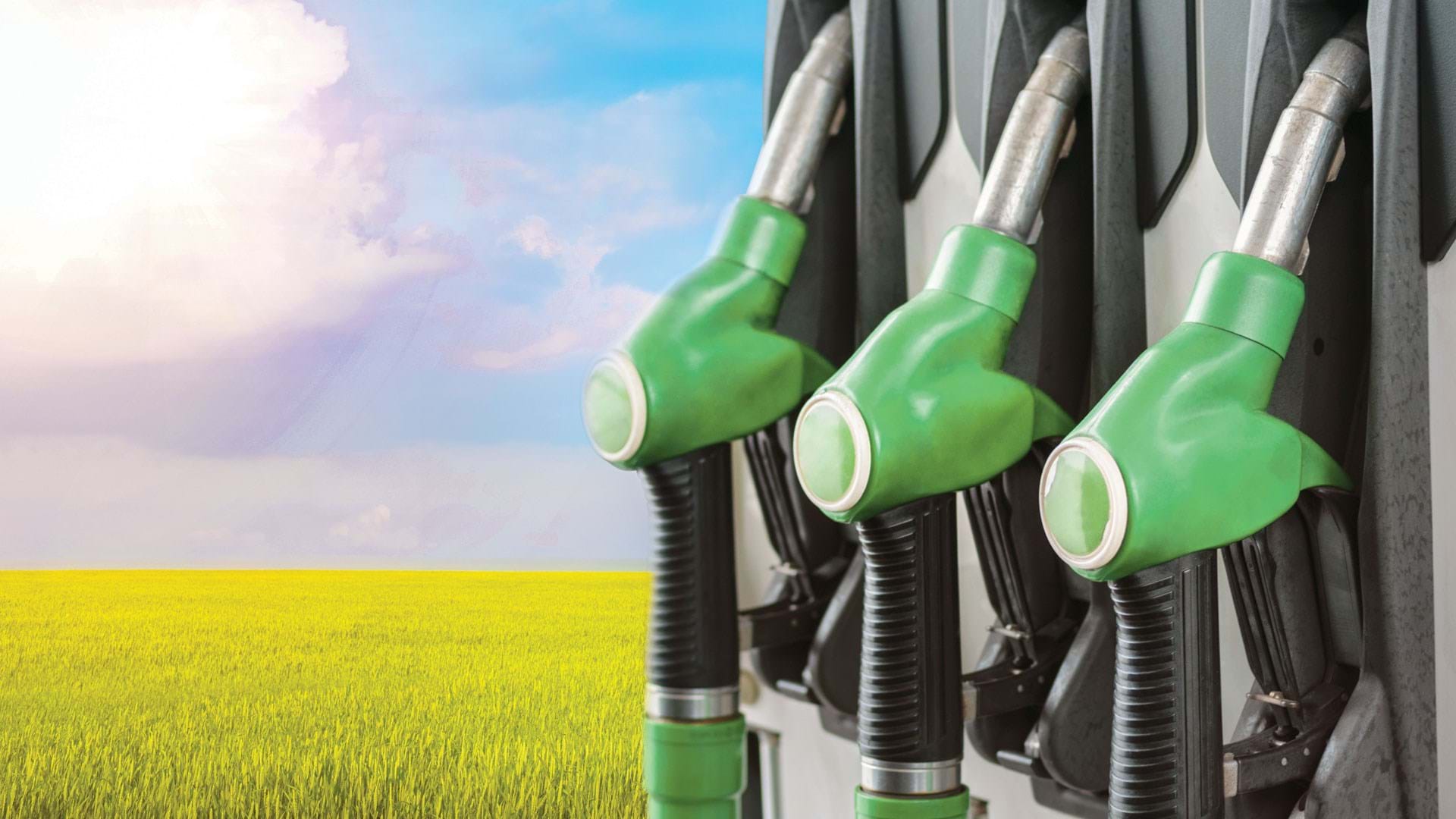 Bioenergy: A Key Pillar in the Global Energy Transition