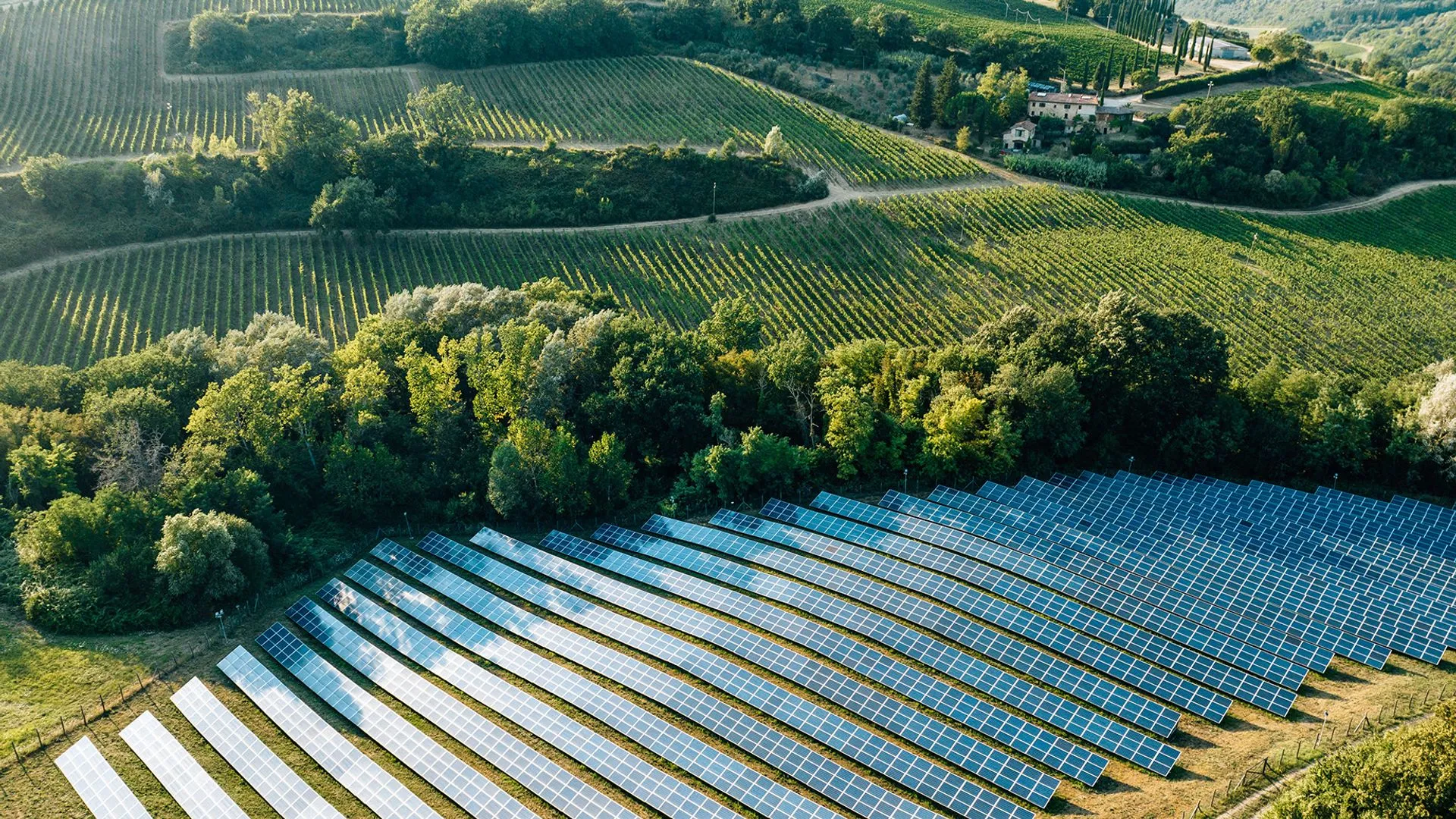 Meloni’s Controversial Move: Italy Restricts Solar Panels on Agricultural Land