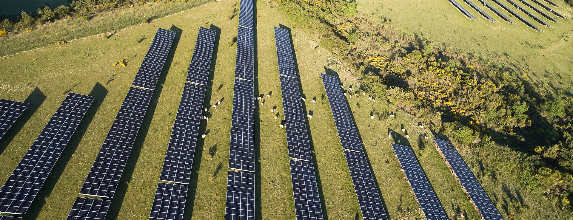 Neoen and SNCF Energie Partner for Major Solar Farm in France