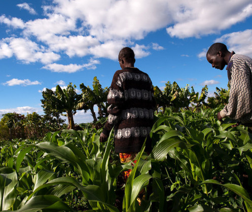 AfDB’s 2024-2029 Strategy for Burundi: Boosting Agriculture & Energy Infrastructure