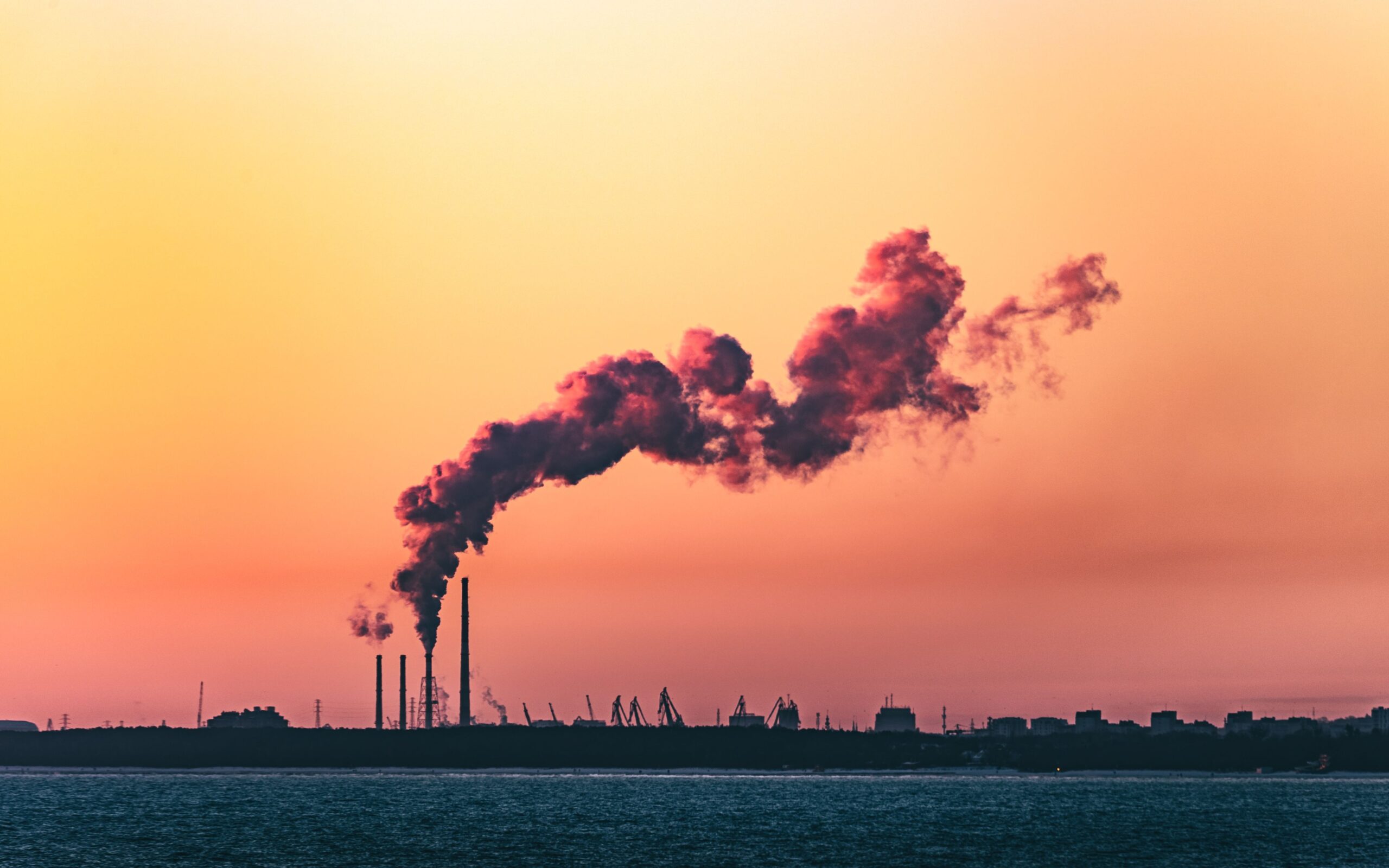 Fossil Fuel Divestment Crucial for 1.5°C Goal: Insights from the IEA