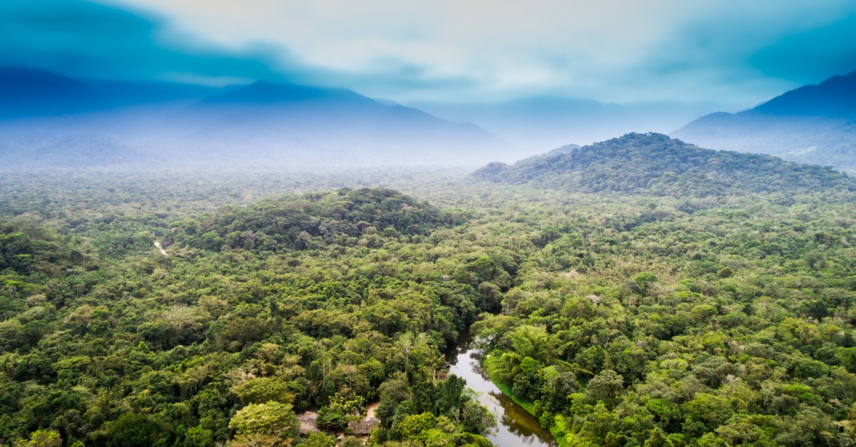 Innovative Financing for Congo Basin Forest Conservation
