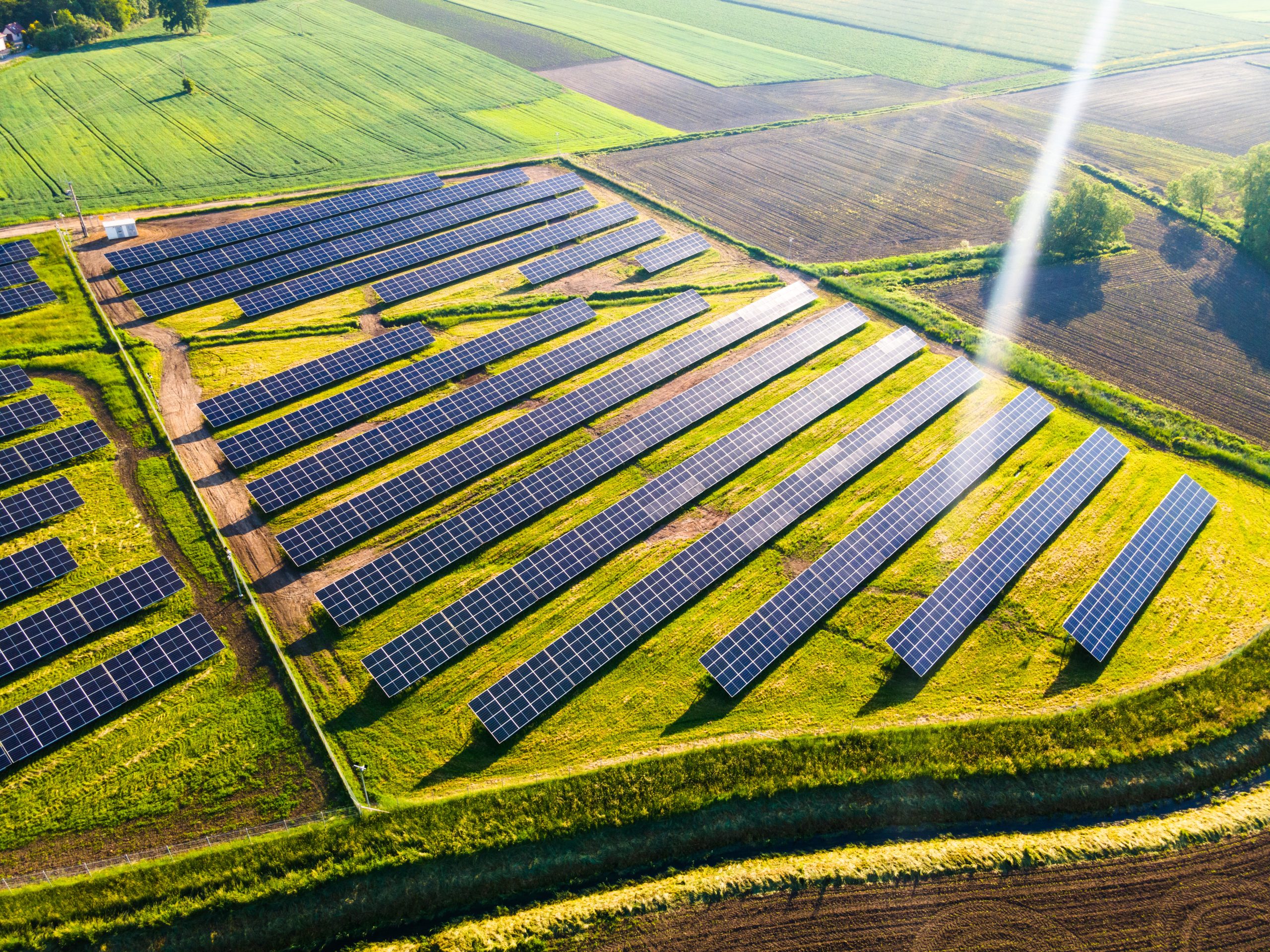 Rutgers & SolarEdge Partner for Agrivoltaics Research | Sustainable Farming in NJ