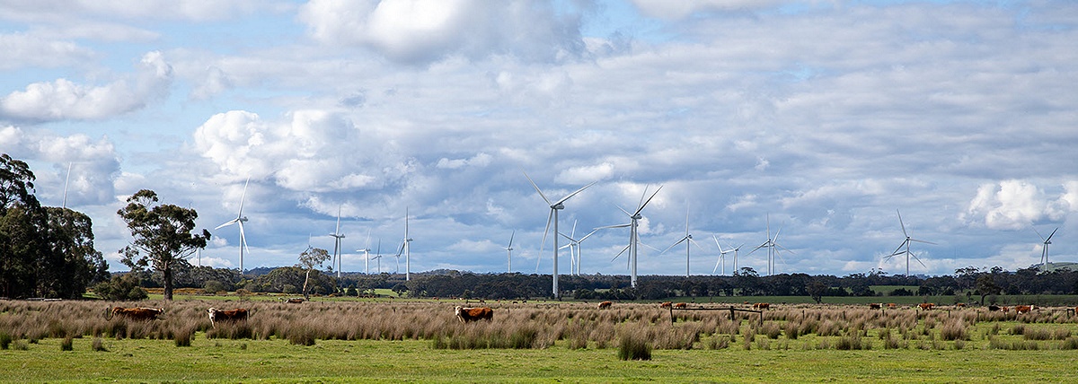 Vestas Secures 63 MW Order to Expand Wind Farms in Türkiye